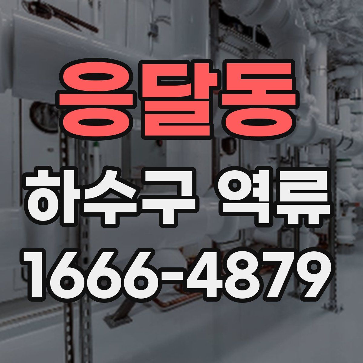 응달동 하수구 역류