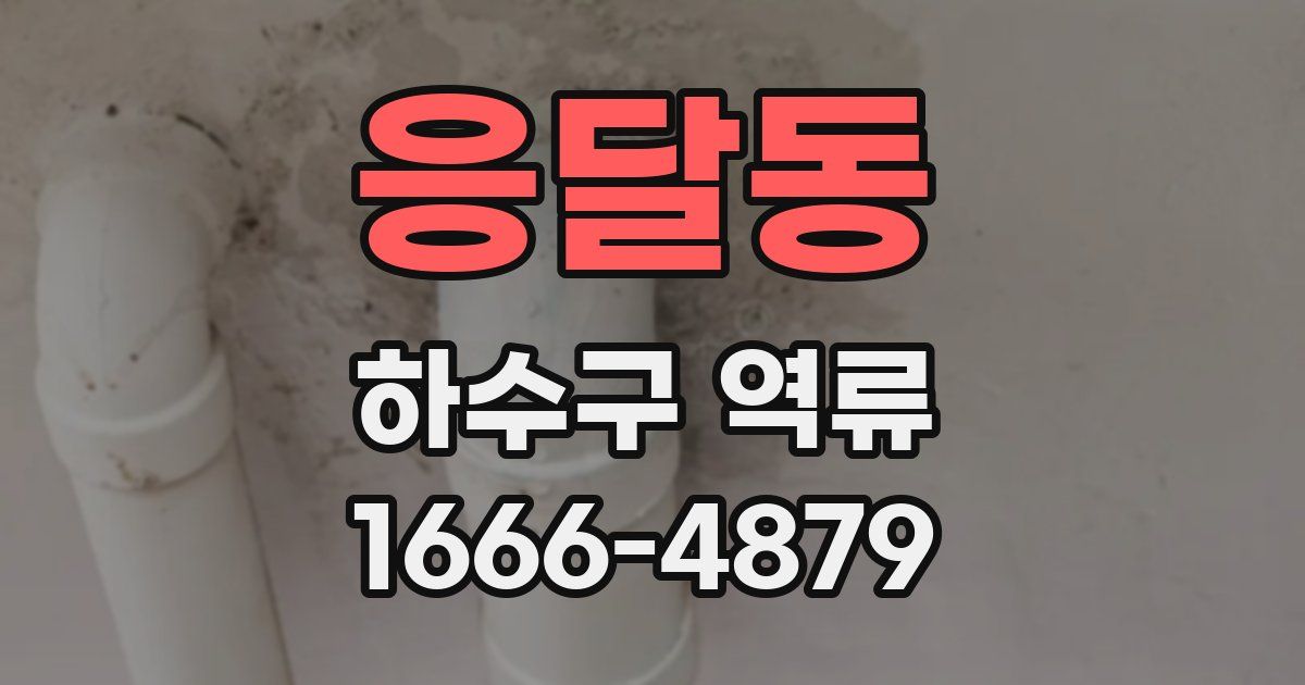 응달동 하수구 역류