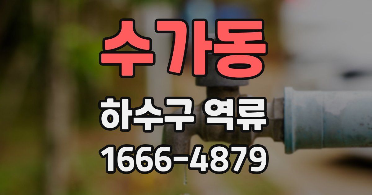 수가동 하수구 역류