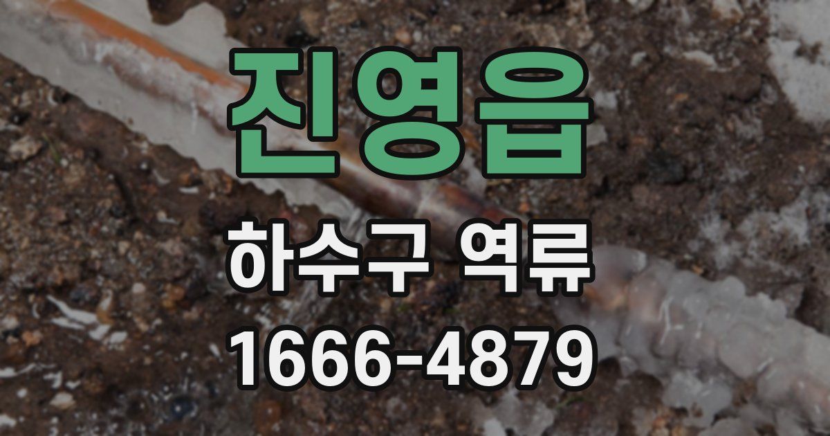 진영읍 하수구 역류