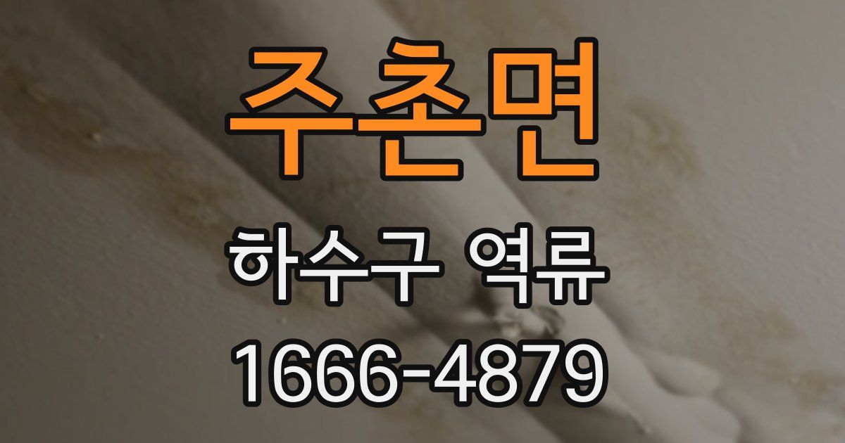 주촌면 하수구 역류