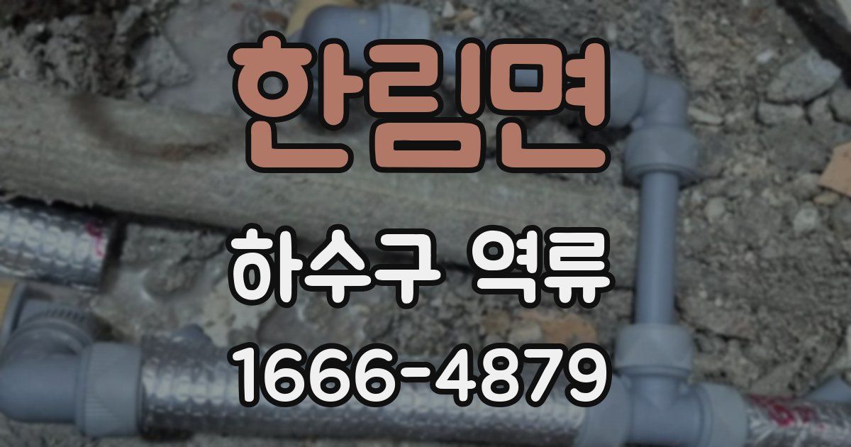 한림면 하수구 역류