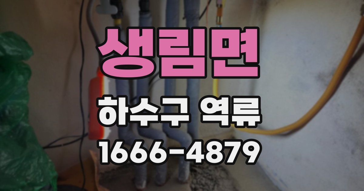 생림면 하수구 역류