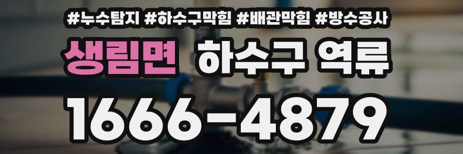 생림면 하수구 역류