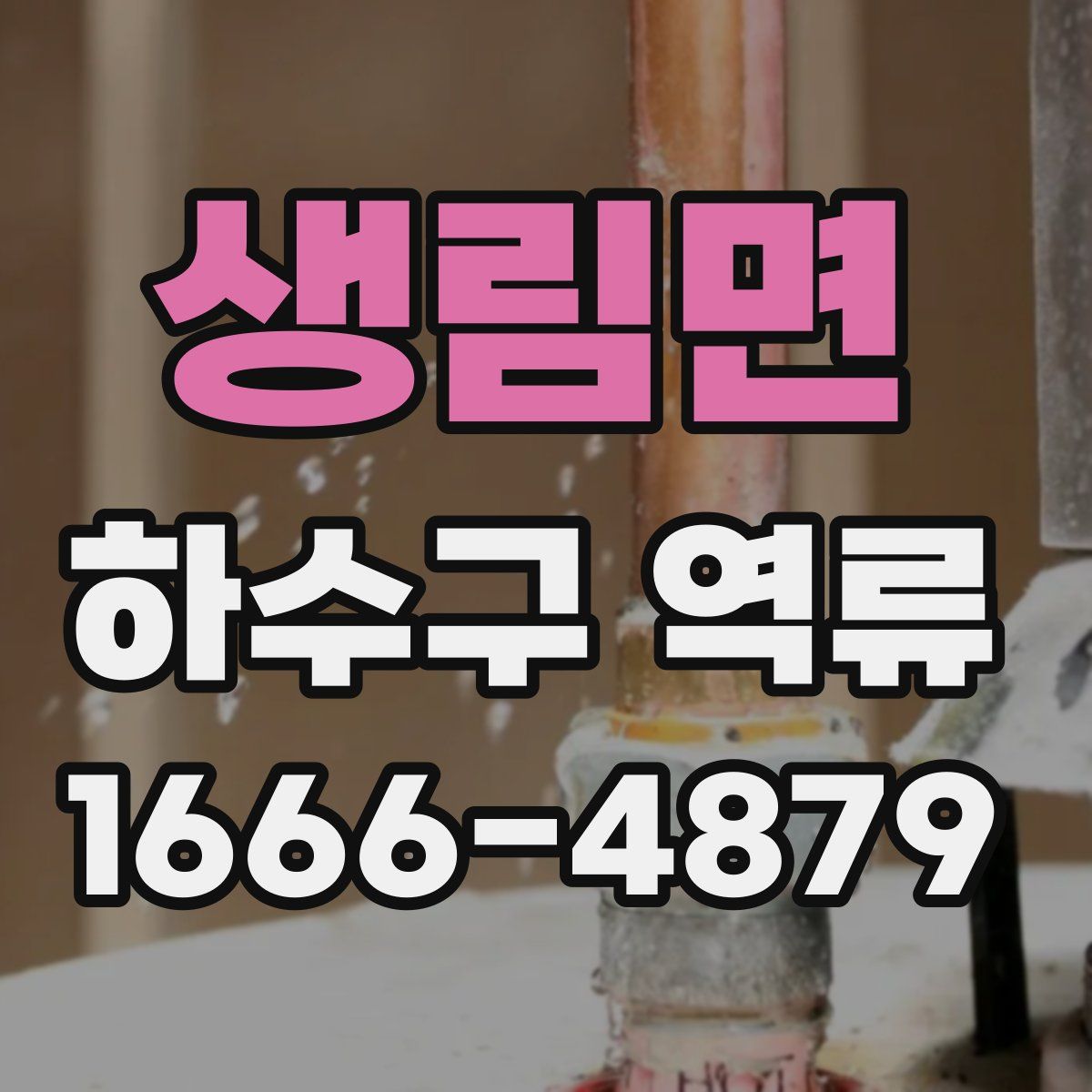 생림면 하수구 역류