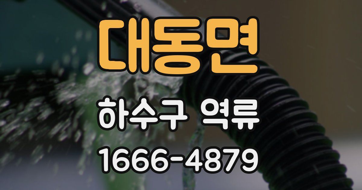 대동면 하수구 역류
