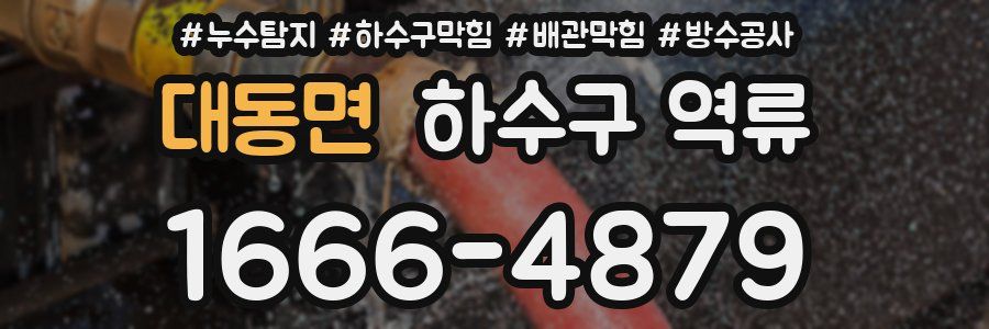 대동면 하수구 역류
