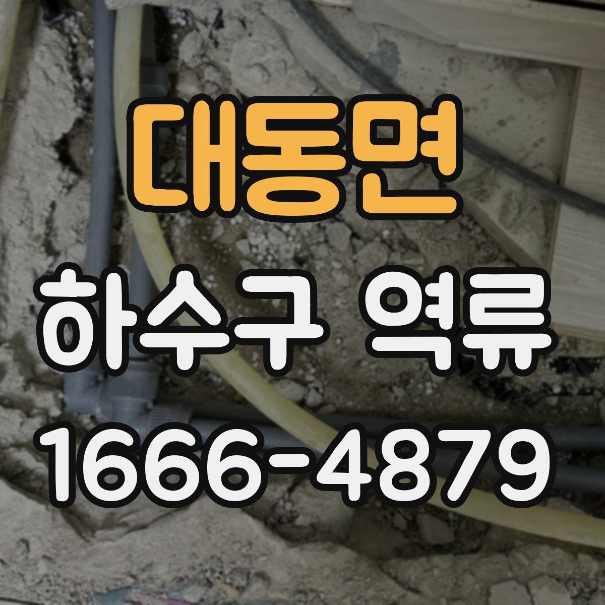 대동면 하수구 역류