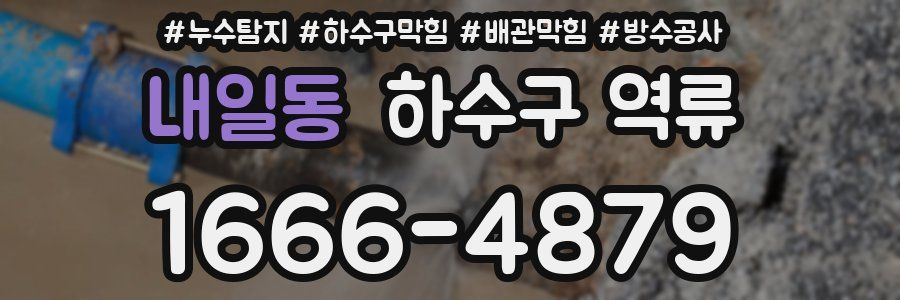 내일동 하수구 역류