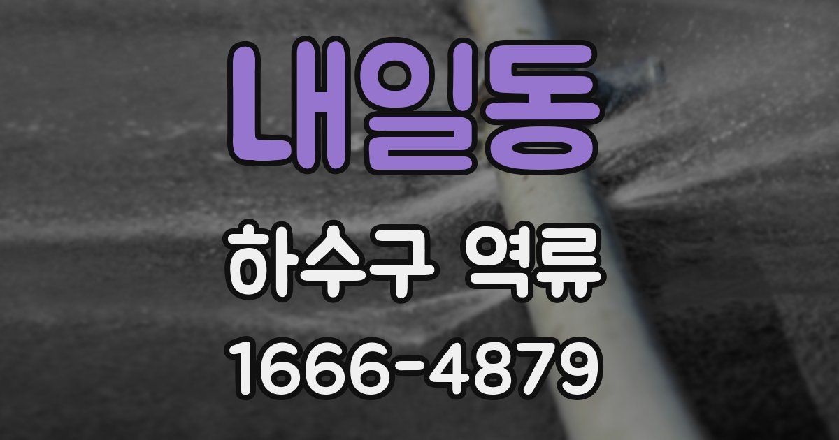 내일동 하수구 역류