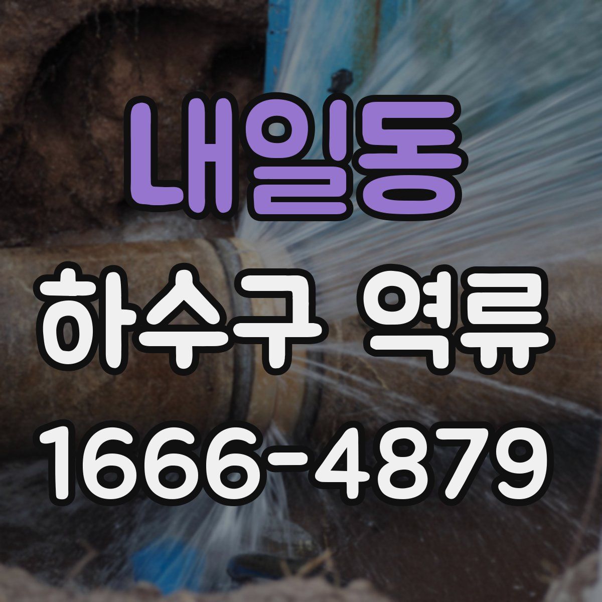 내일동 하수구 역류
