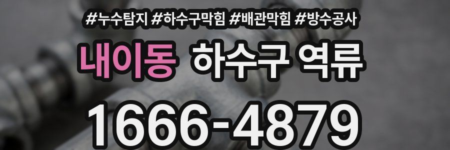 내이동 하수구 역류