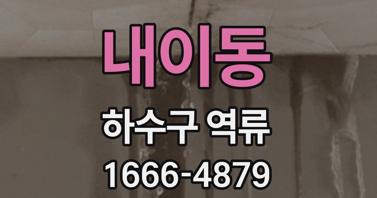 내이동 하수구 역류