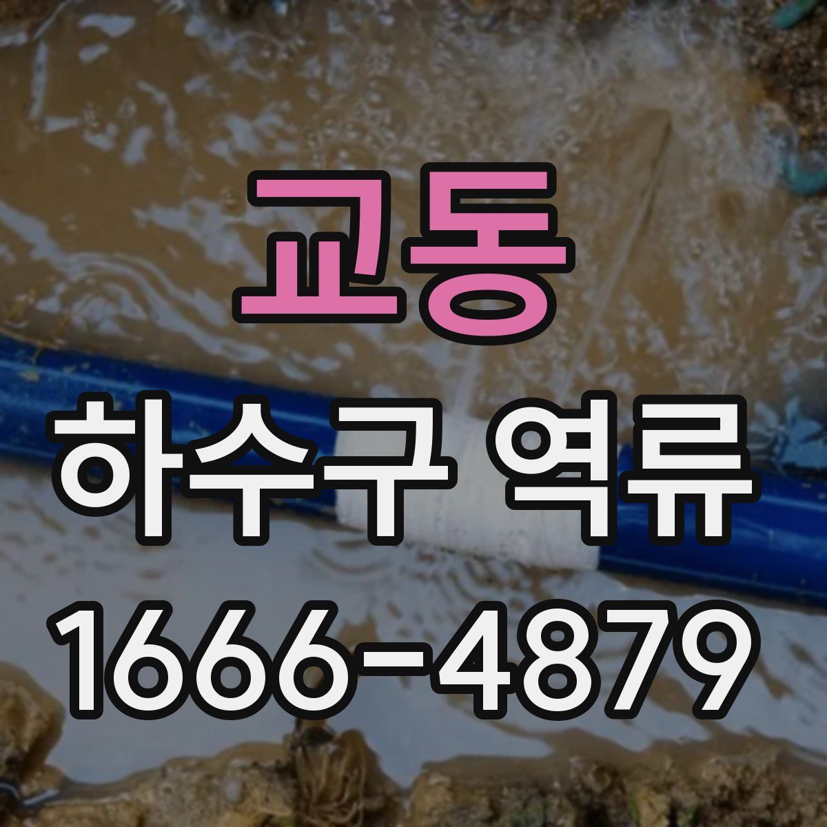 교동 하수구 역류