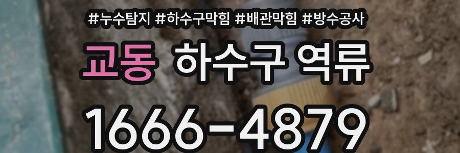 교동 하수구 역류