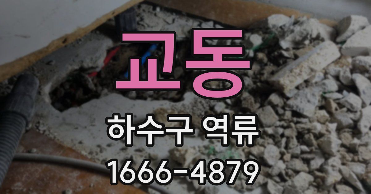 교동 하수구 역류