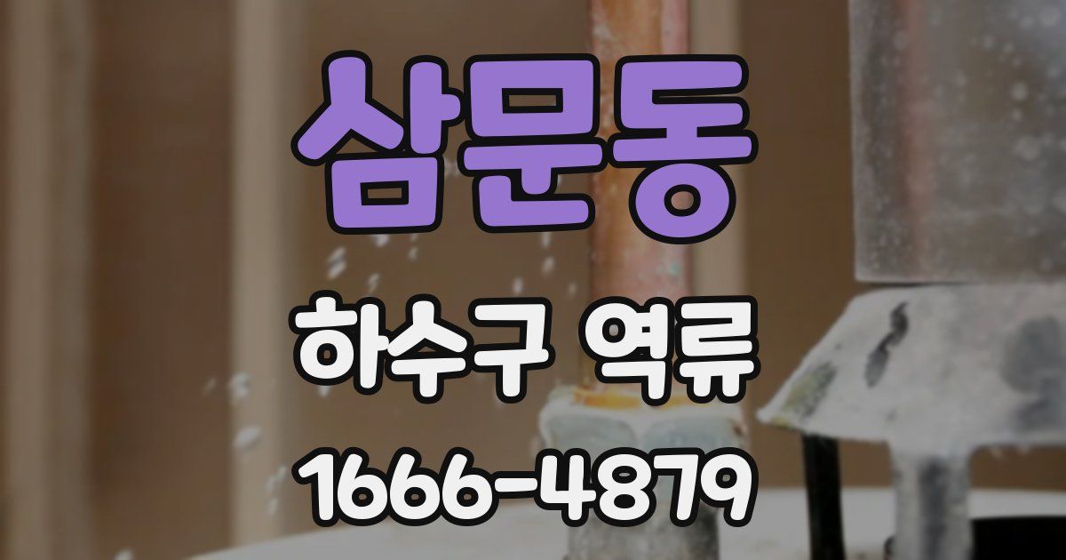 삼문동 하수구 역류