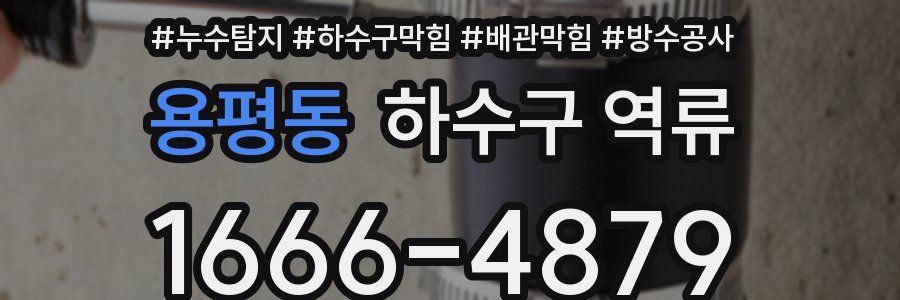 용평동 하수구 역류
