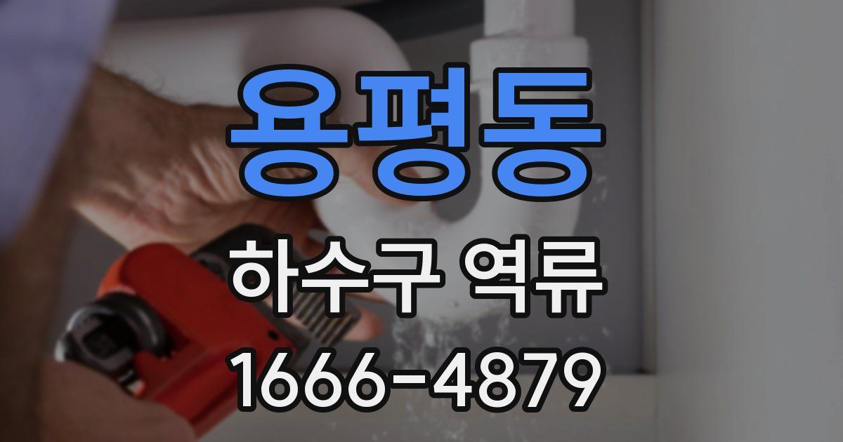 용평동 하수구 역류