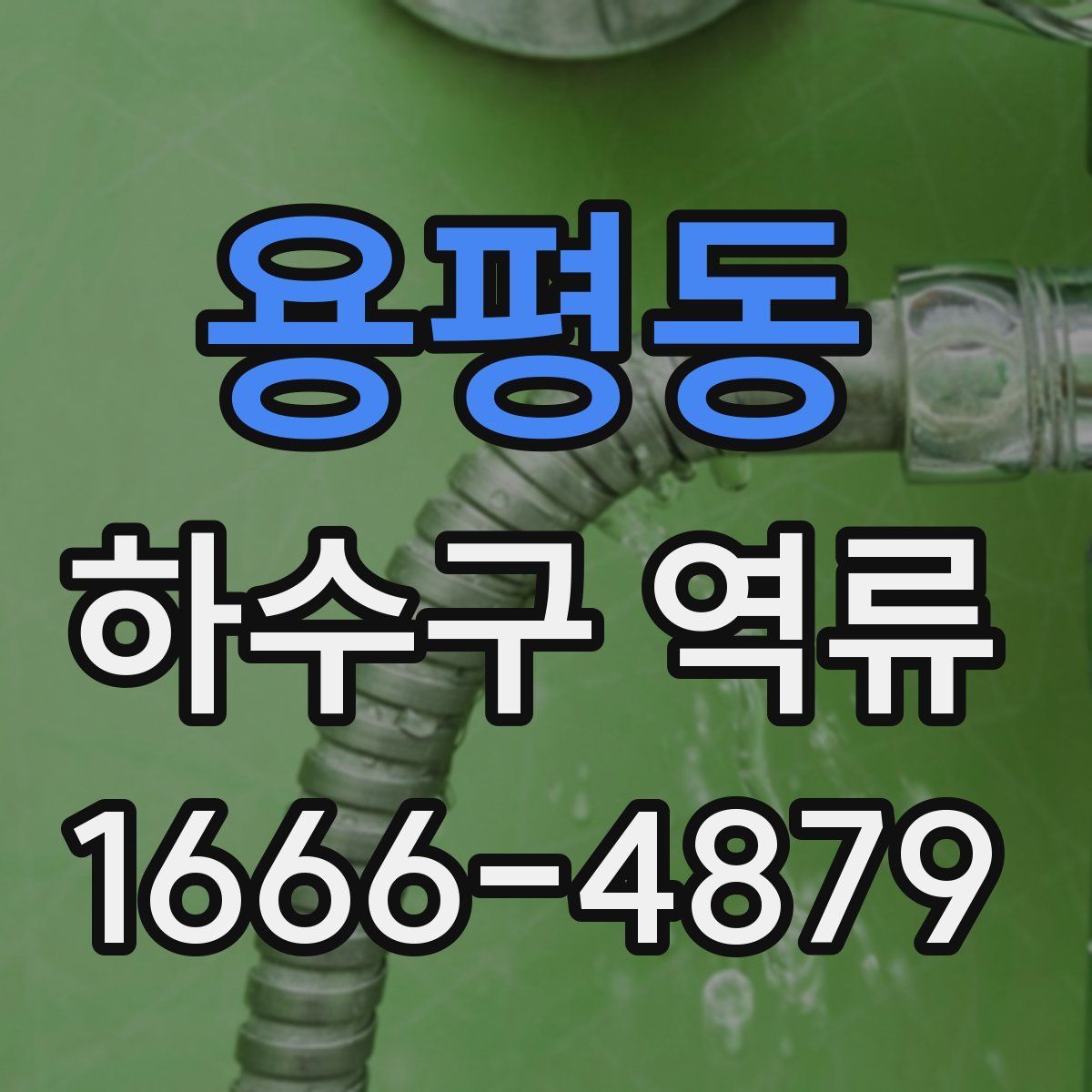 용평동 하수구 역류