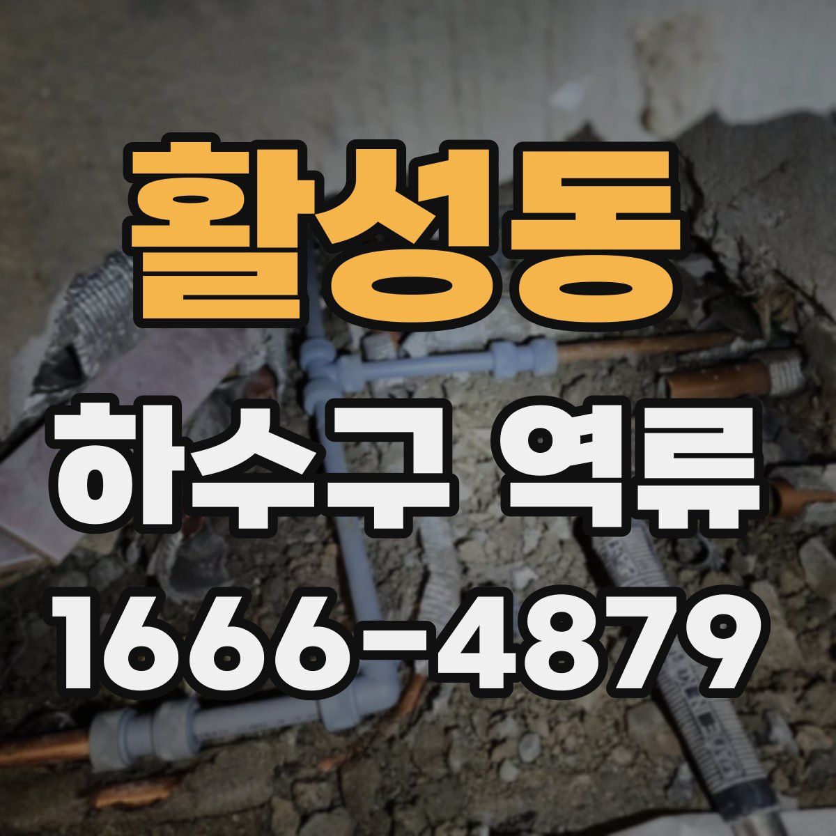 활성동 하수구 역류