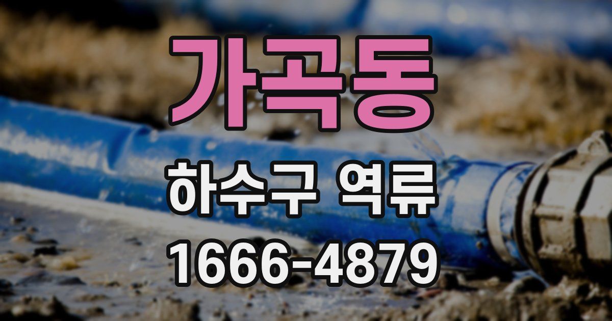 가곡동 하수구 역류