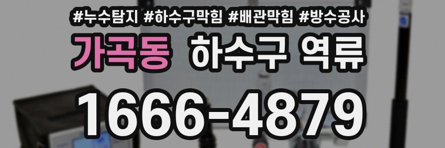 가곡동 하수구 역류
