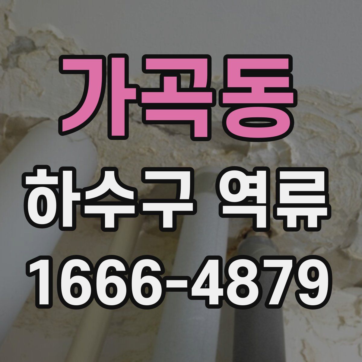 가곡동 하수구 역류
