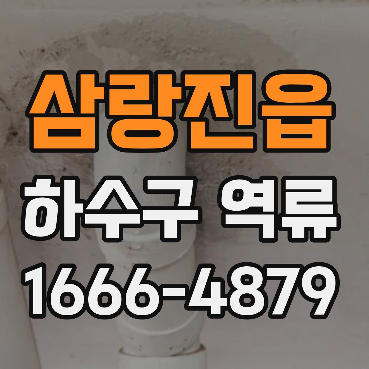 삼랑진읍 하수구 역류