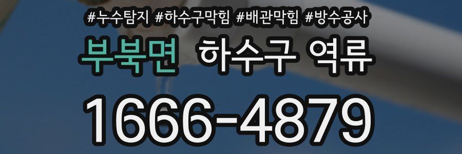 부북면 하수구 역류