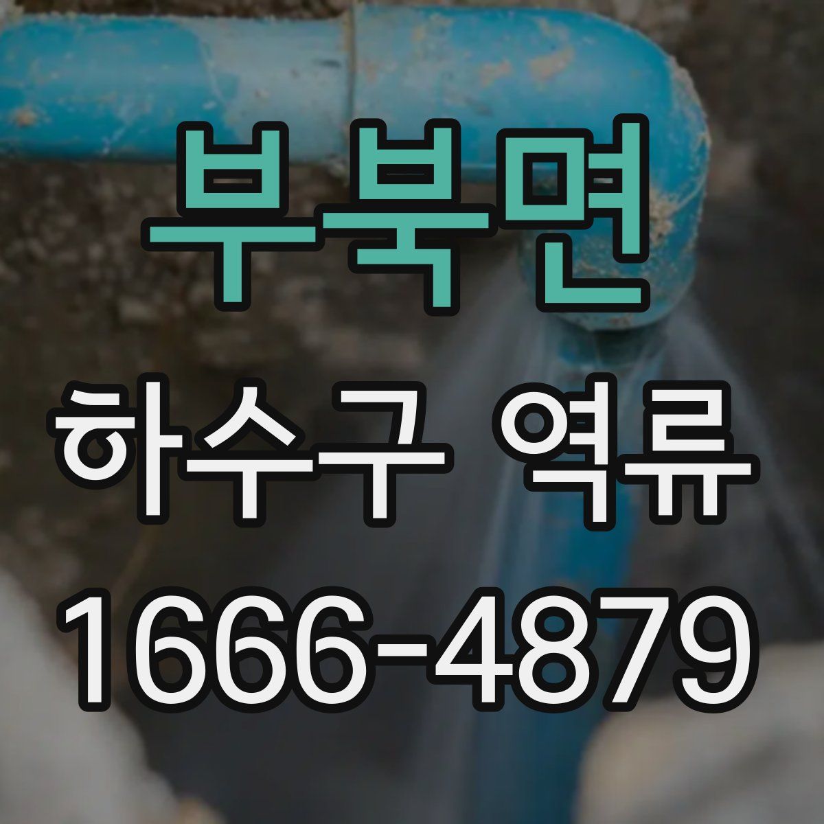 부북면 하수구 역류