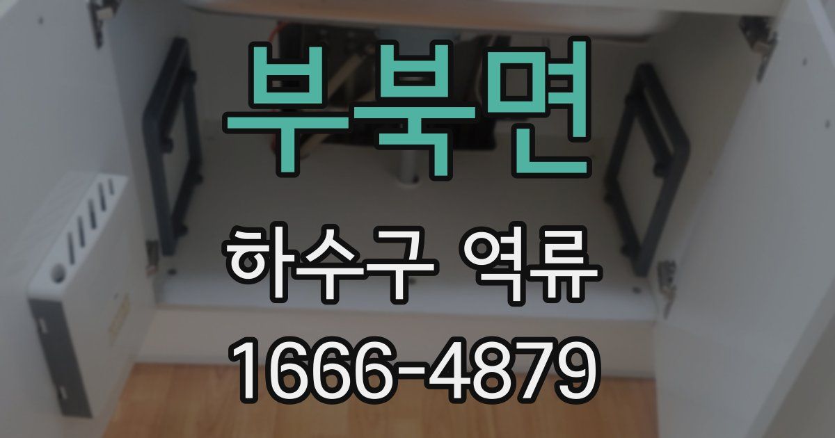 부북면 하수구 역류