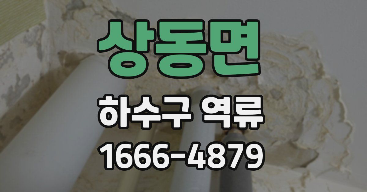 상동면 하수구 역류