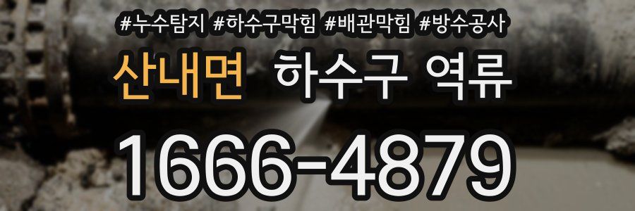 산내면 하수구 역류