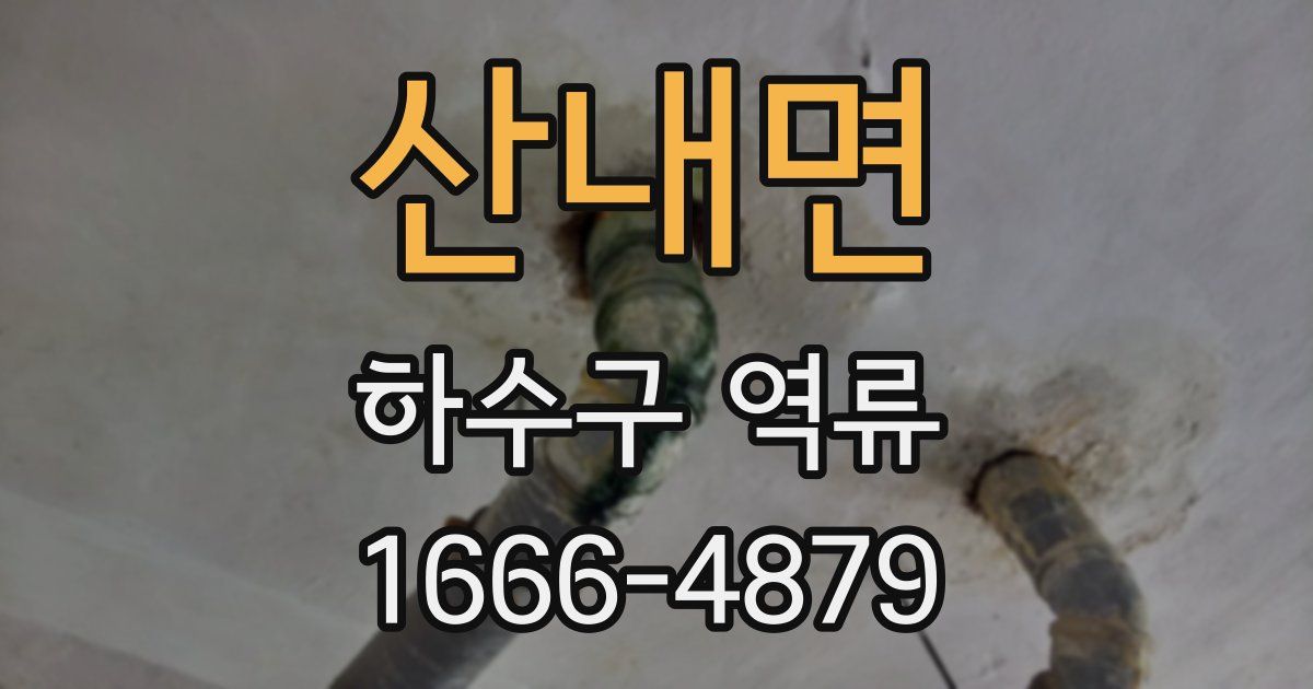 산내면 하수구 역류