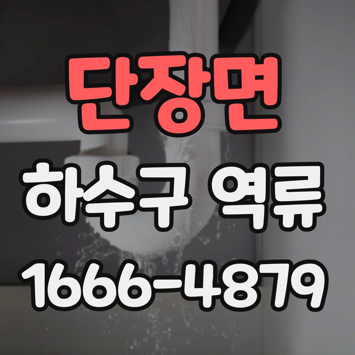 단장면 하수구 역류