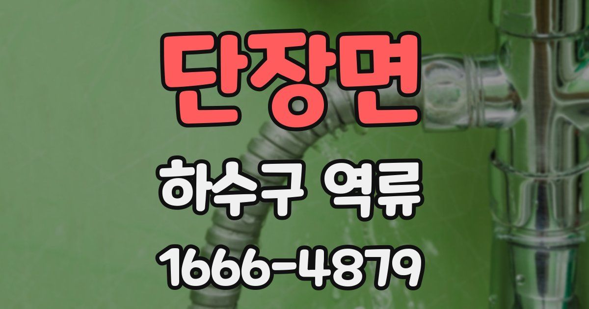 단장면 하수구 역류