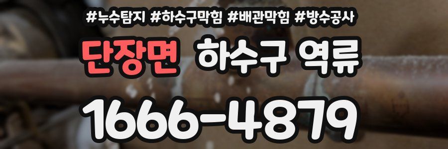 단장면 하수구 역류