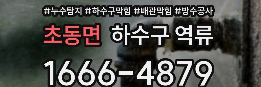 초동면 하수구 역류