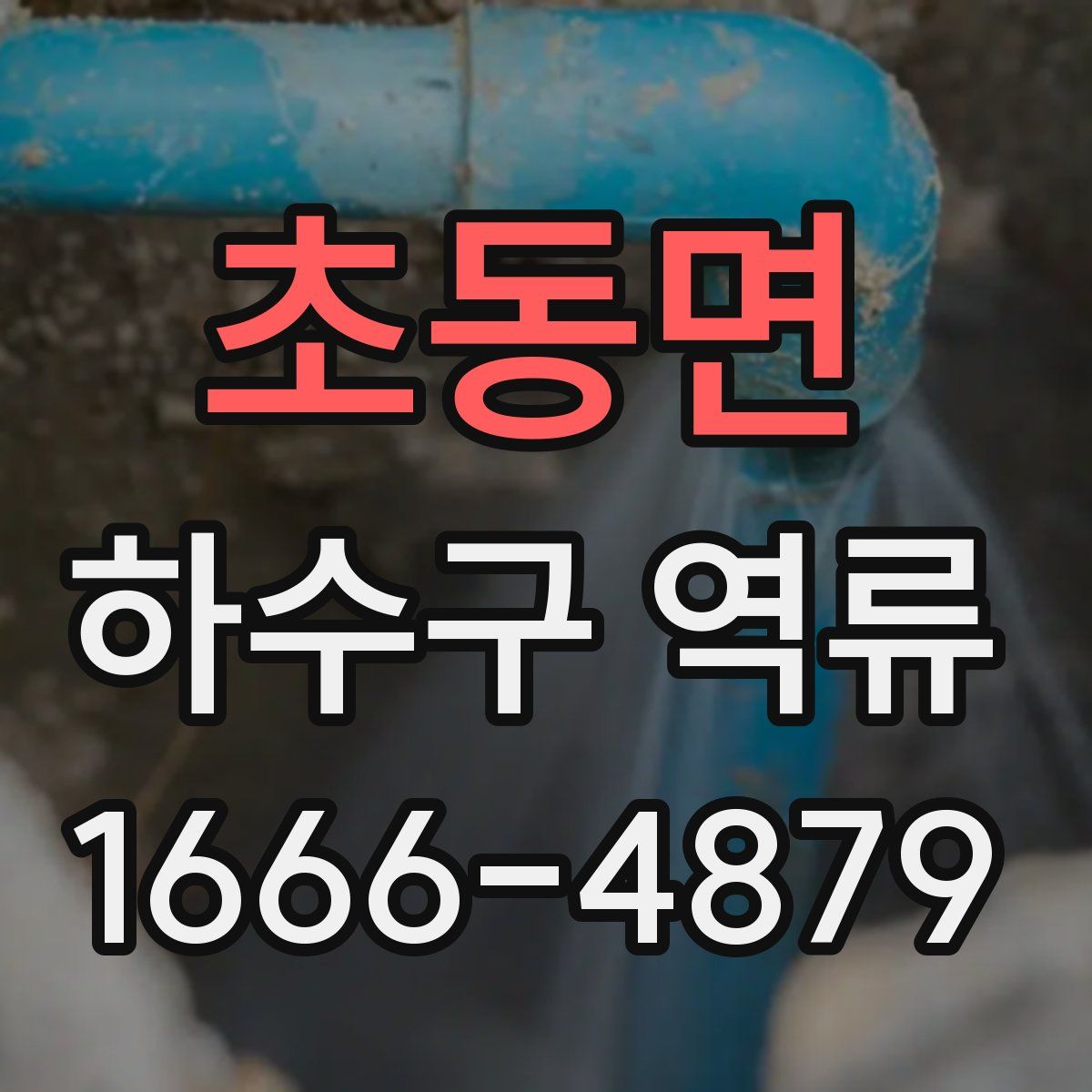 초동면 하수구 역류