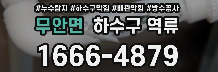 무안면 하수구 역류