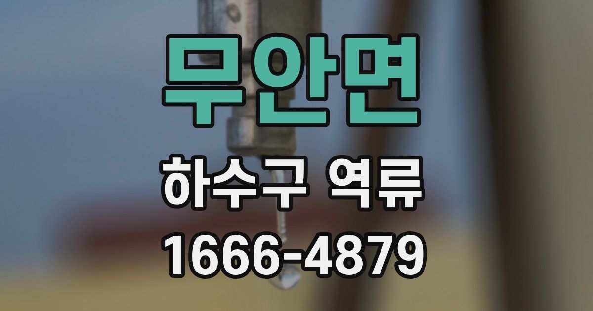 무안면 하수구 역류