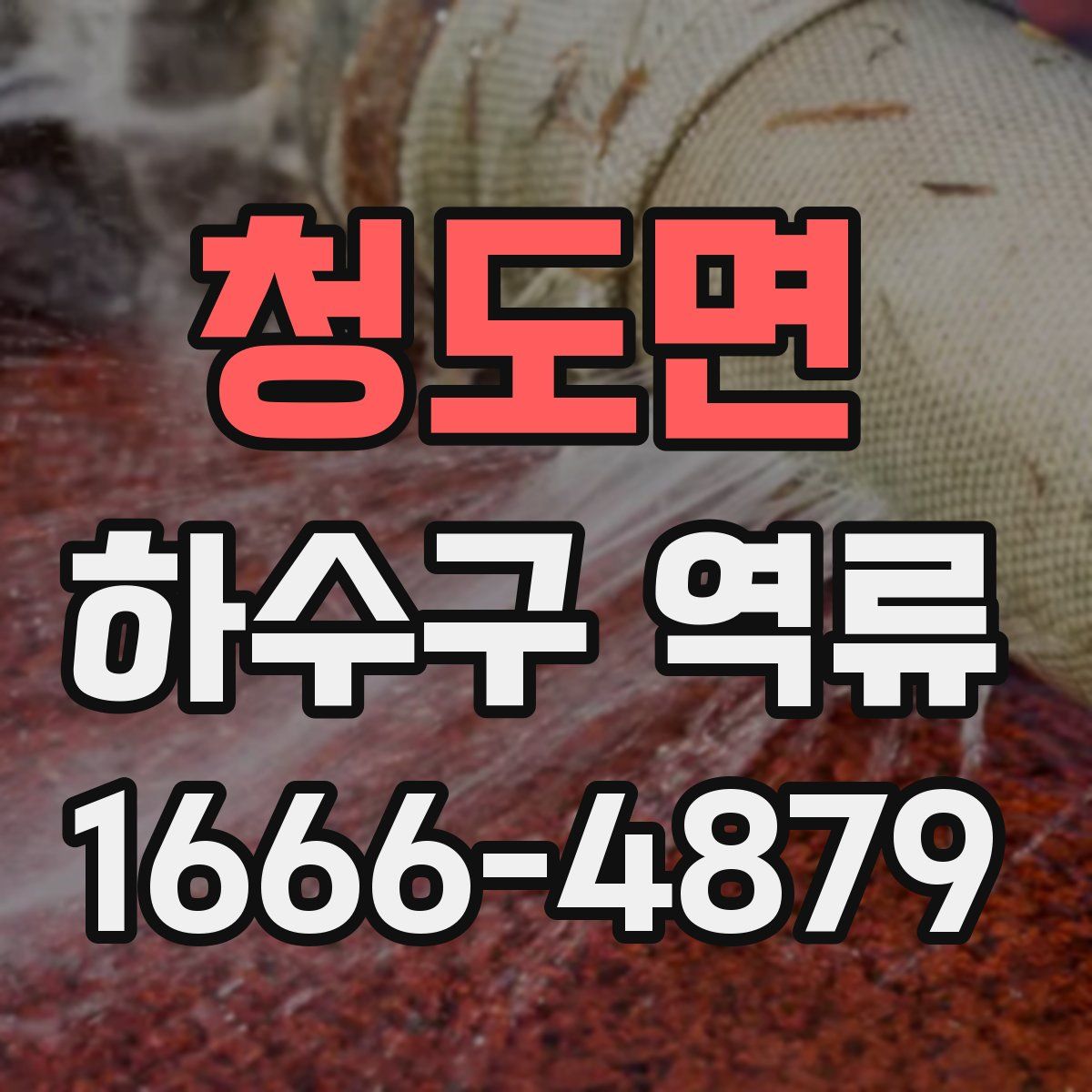 청도면 하수구 역류