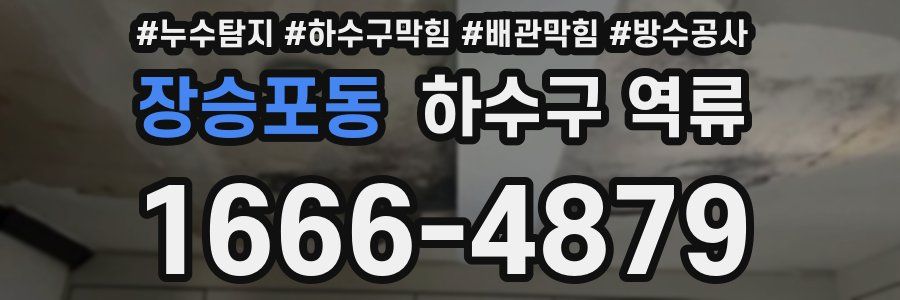장승포동 하수구 역류