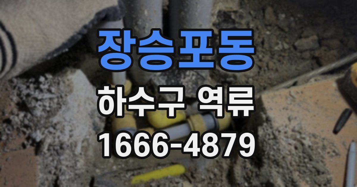 장승포동 하수구 역류