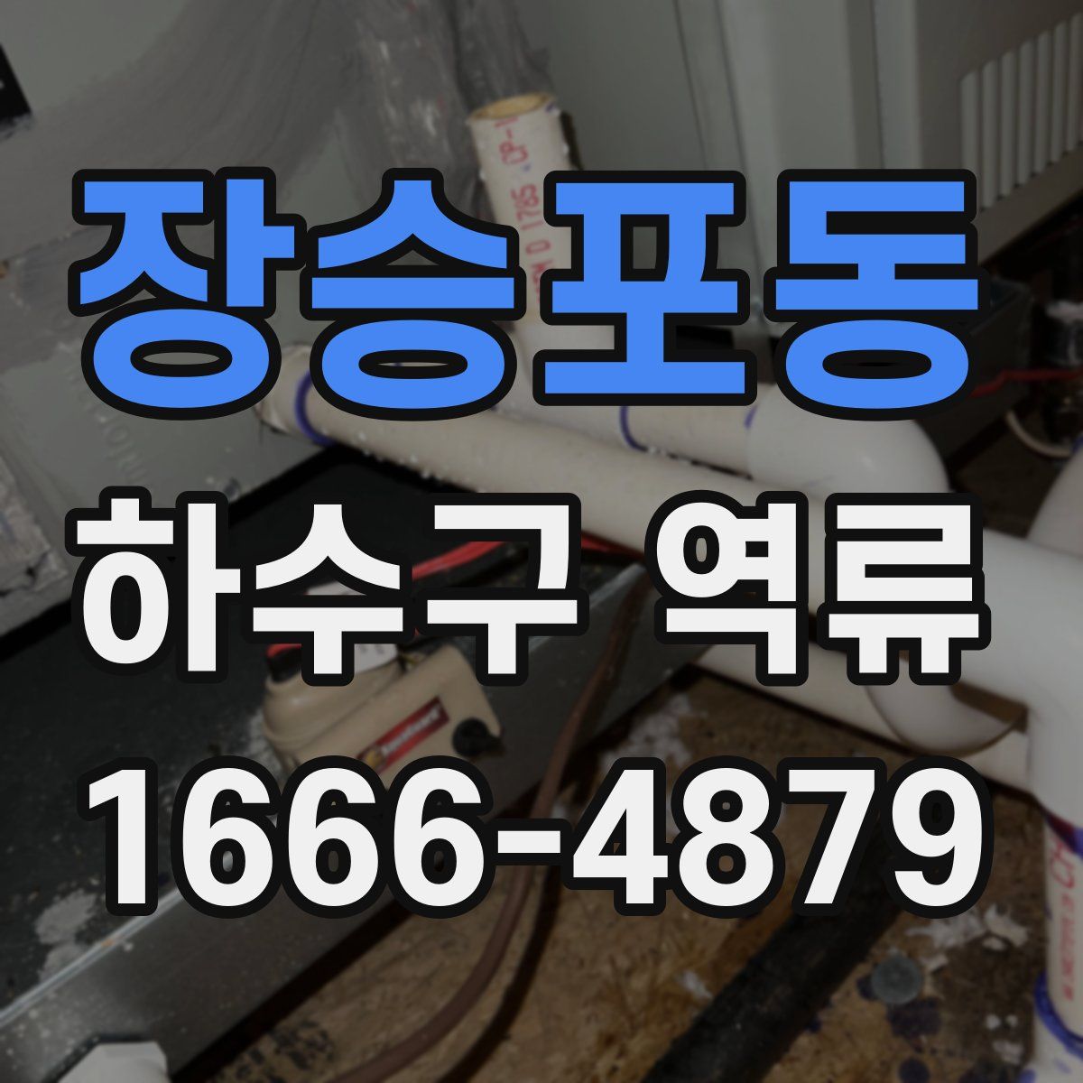 장승포동 하수구 역류