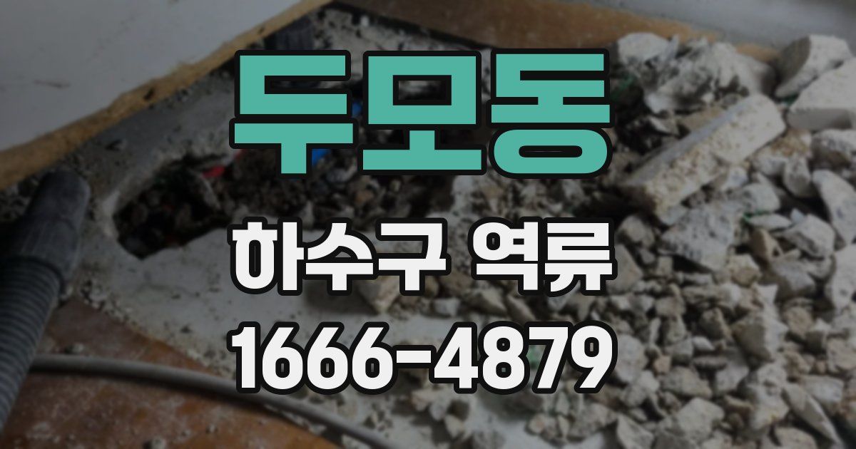두모동 하수구 역류