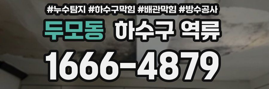 두모동 하수구 역류
