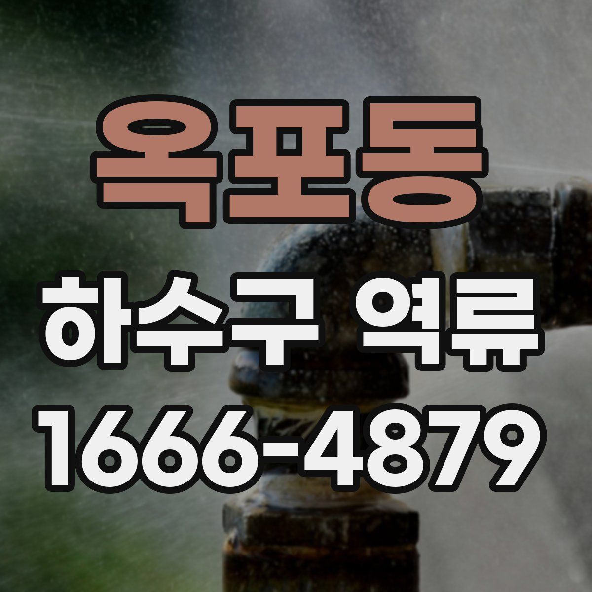 옥포동 하수구 역류