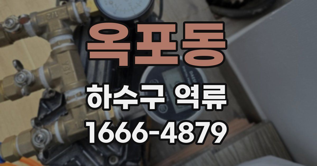옥포동 하수구 역류